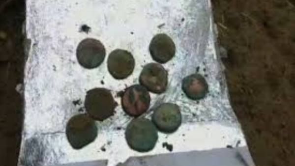 बारिश के बाद खेत में मिले राजा-महाराजाओं जमाने के सिक्के और टूटी मूर्तियां, लोग बोले- यहां है खजाना