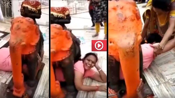 VIDEO : मंदिर में 'हाथी' के नीचे फंसी महिला का वीडियो सोशल मीडिया में वायरल, लोग दे रहे फनी कमेंट
