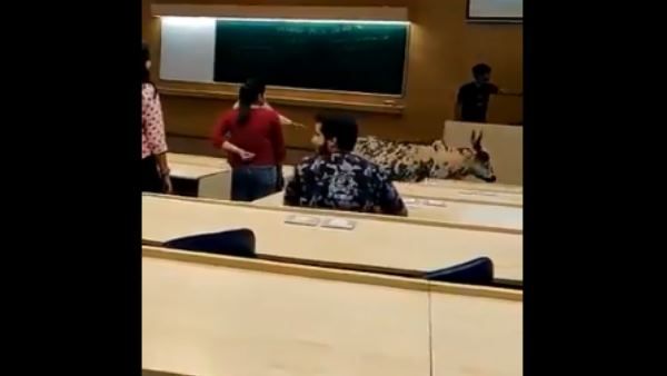 IIT बॉम्बे के क्लास में घुसी गाय, वीडियो वायरल हुआ तो मजे लेने लगे लोग