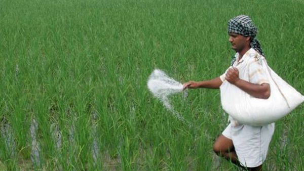 बजट 2019: जीरो बजट फार्मिंग का क्या मतलब है