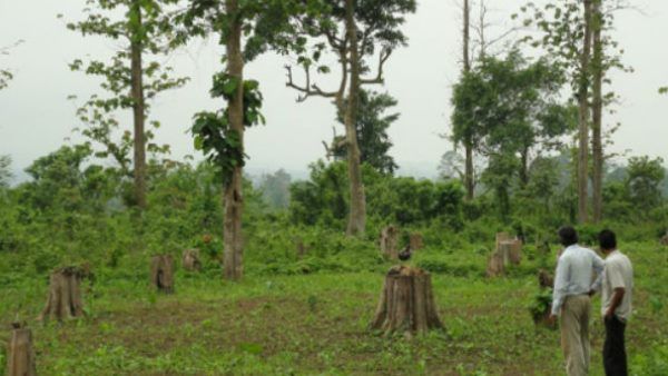 वनाधिकार कानून को लागू करने में ओडिशा है आगे- अतिरिक्त मुख्य सचिव