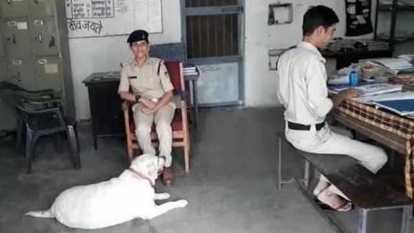 मर्डर केस में जेल गया पूरा परिवार, अब उनके कुत्ते की रखवाली कर रही थाने की पुलिस