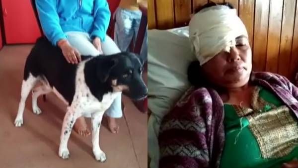 मालकिन को बचाने के लिए जान पर खेल गया 'टाइगर', दुम दबाकर भाग खड़ा हुआ तेंदुआ