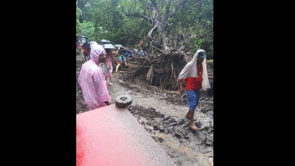 बिहार में 'कहर' की बारिश: दीवार और पेड़ गिरने से 10 लोगों की मौत