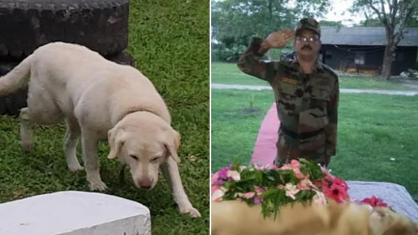 ईस्टर्न कमांड के जाबाज Hero डच की 9 साल में मौत, कई IED धमाकों से बचाई लोगों की जान