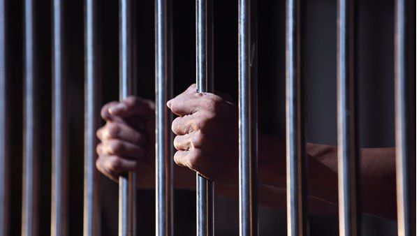 शिकारी ने भालुओं को मारने के बाद उनके गुप्तांग भी खा लिए, 6 साल की तलाश के बाद गिरफ्तार