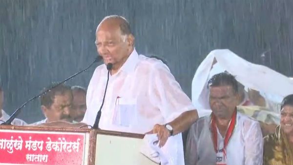 सतारा में भाजपा उम्मीदवार की हार के बाद VIRAL हो रही है शरद पवार की सभा की एक तस्वीर