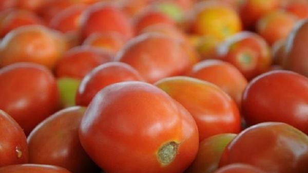 प्याज के बाद अब टमाटर के बढ़े भाव, 80 रुपये पहुंची कीमत