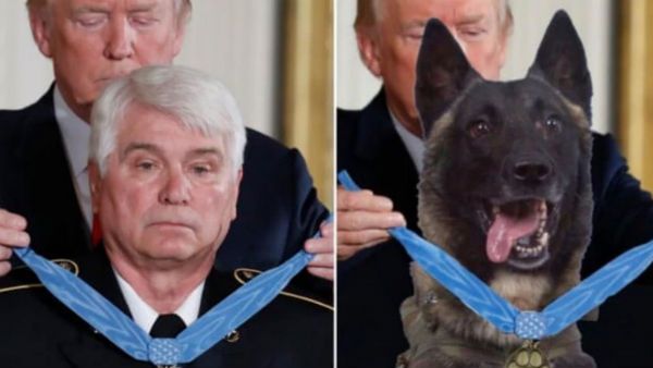 डोनाल्‍ड ट्रंप ने ट्विटर पर उड़ाया एक सैनिक का मजाक, पोस्‍ट की कुत्‍ते को मेडल पहनाने वाली फोटो