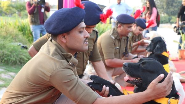 ड्यूटी से सेवानिवृत्ति हुए CISF के जांबाज डॉग्स, फेयरवेल देकर हुई विदाई