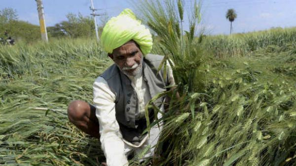 GDP@4.5%-लगातार गिरती विकास दर पर बोले एक्सपर्ट किसानों की आय बढ़ाने की तुरंत जरूरत