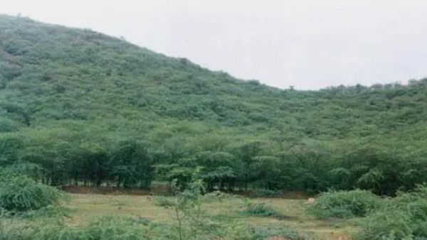 Jaipur : गर्भवती बीवी ने अवैध संबंधों के लिए टोका तो पति ने उसका यह हाल कर जंगल में फेंका