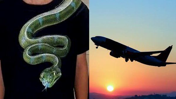 'सांप' की वजह से एयरपोर्ट पर अधिकारियों ने उतरवा दी 10 साल के बच्चे की टी-शर्ट, जानिए पूरा मामला
