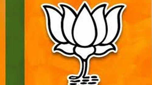 दिल्ली विधानसभा चुनाव: हमारे पास सीएम के एक नहीं कई चेहरे: BJP