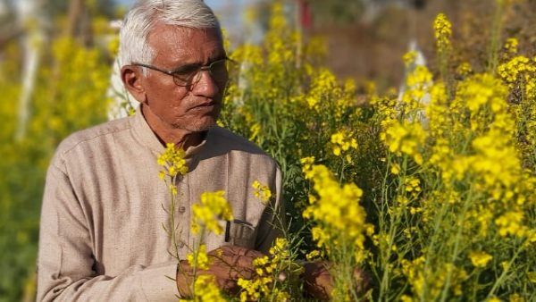 SundaRam Verma Sikar : 3 बार लगी सरकारी नौकरी ठुकराकर अपनाई खेती, मिलेगा पद्म श्री अवार्ड