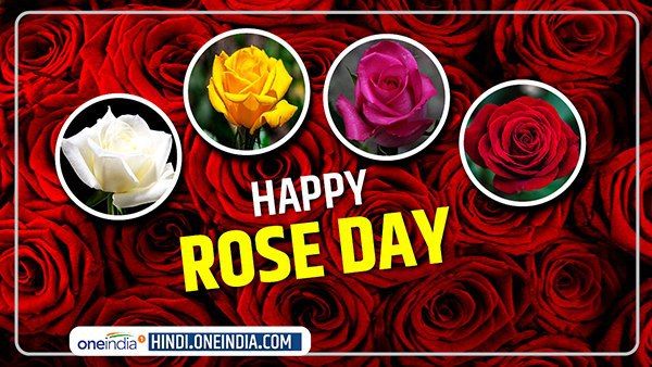 Rose Day 2021: रोज डे आज, जानिए गुलाब का हर रंग क्या कहता है?