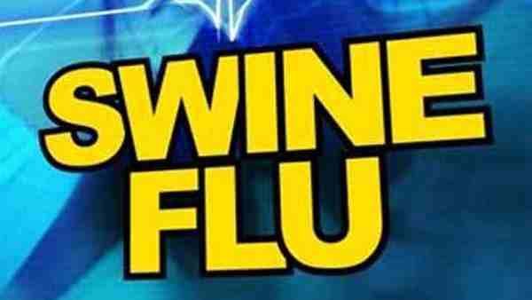 Swine Flu का बढ़ रहा खतरा, स्वास्थ्य महकमा कह रहा कि अभी कोई निर्देश नहीं