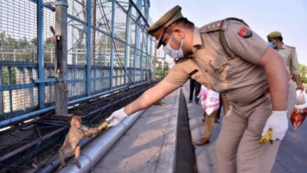 इंस्पेक्टर से केला लेते बंदर ने खिंचवाई फोटो, IPS अफसर ने शेयर किया ये मजेदार वाकया