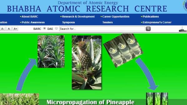 BARC Recruitment 2020: बीएआरसी में भर्ती के लिए 15 अप्रैल तक करें आवेदन