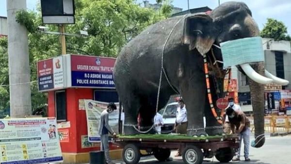 IPS ने शेयर की हाथी की फोटो, लोगों को दिया टास्क- दूसरा मास्क ढूंढकर बताएं