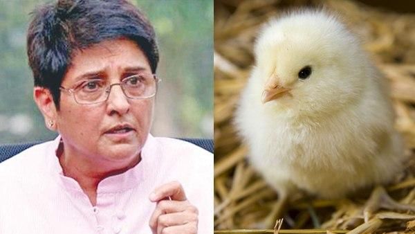 कोरोना के चलते जो अंडे फेंक दिए थे, उनसे निकले चूजे, ट्वीट पर ट्रॉल हुईं KIRAN BEDI