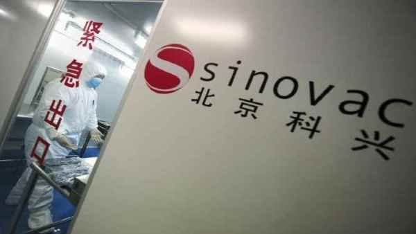 Swine flu की वैक्सीन बनाने वाली कंपनी का दावा, 'Coronavac' के 10 करोड़ डोज बनाने की तैयारी