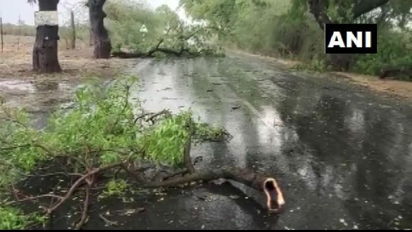 तेज बारिश, आंधी तूफान ने देश के कई हिस्सों में मचाया उत्पात, खेत बर्बाद, दो लोगों की मौत