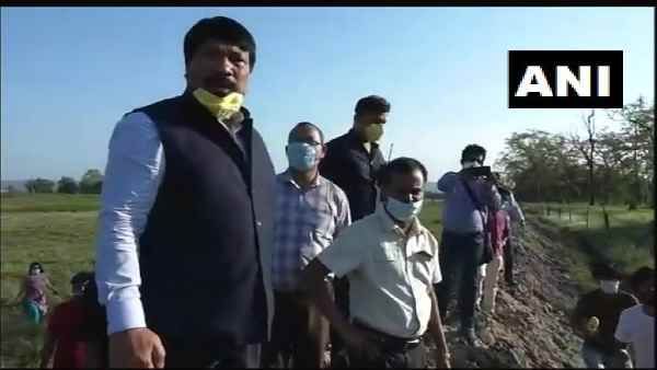 असम: कोरोना काल में अफ्रीकी स्वाइन फ्लू का कहर, 13,000 सूअरों की मौत