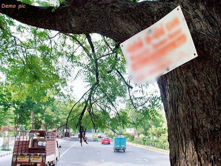 पेड़ की छांव में बैठकर आराम कर रही वृद्धा को नाबालिग लड़के ने रौंदा, फिर कार छोड़कर भागा