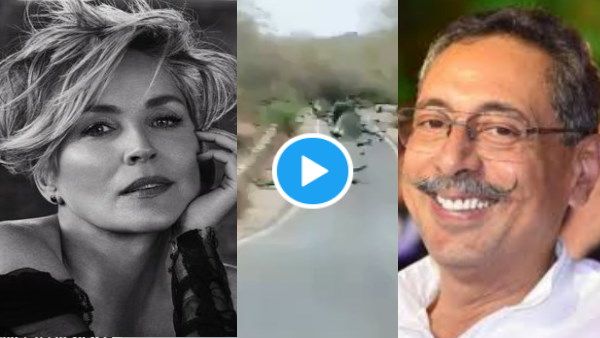 हॉलीवुड अभिनेत्री शेरोन स्टोन ने शेयर किया राजस्थान के मोरों का ये डांस वीडियो, पर्यटन मंत्री का रिप्लाई-पधारो म्हारे देश