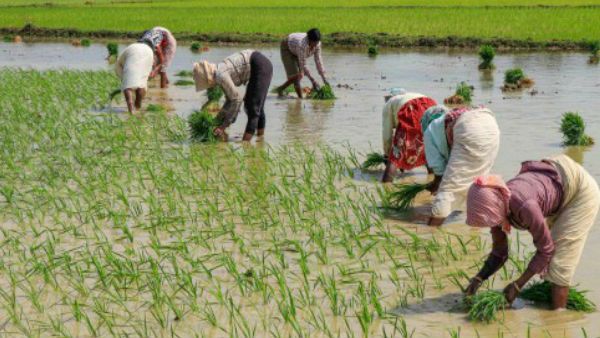 3 करोड़ किसानों के लिए वित्त मंत्री का बड़ा ऐलान, 31 मई तक ब्याज पर मिली छूट