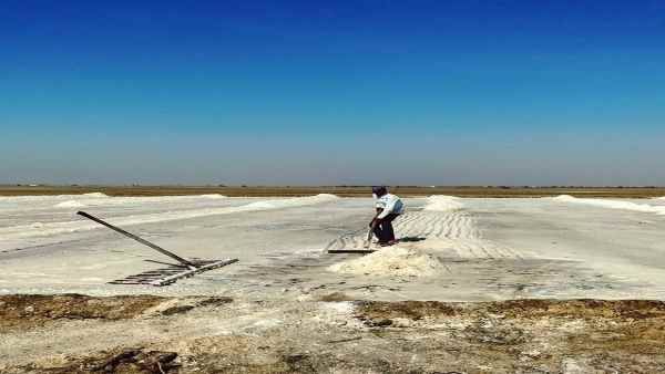 लॉकडाउन: क्या आगे नमक की किल्लत होने वाली है? उत्पादन घटने से बढ़ी चिंता