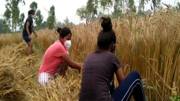 लॉकडाउन में 43 दिन से यूपी के संभल में फंसे दिल्ली के 10 स्टूडेंट्स, गेहूं की कटाई कर कमाए पैसे, पीएम से मांगी मदद
