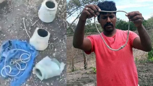एक झटके में मालामाल हुआ किसान, खेत की जुताई के दौरान जमीन में गड़े मिले सोने-चांदी से भरे कई मटके