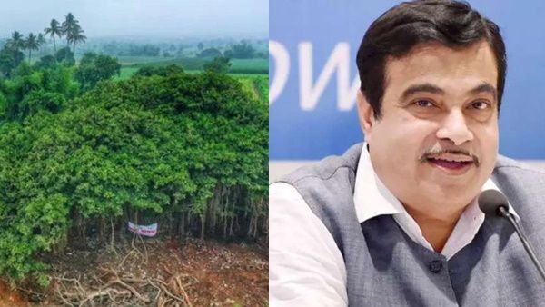 हाईवे के रास्ते में आ रहा था 400 साल पुराना पेड़, गडकरी बोले- नहीं कटना चाहिए पेड़, बदल दो सड़क का नक्शा