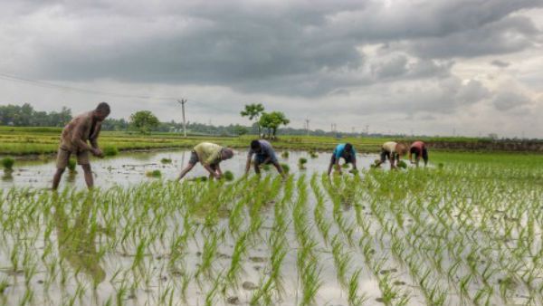 ओडिशा: नुआपाड़ा जिले में आएगी हरित क्रांती, मुख्यमंत्री ने 2000 करोड़ से अधिक की परियोजनाओं की दी सौगात