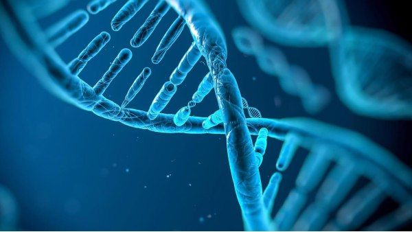 तो इसलिए दक्षिण एशियाई लोगों को कोरोना का है अधिक जोखिम, जानिए क्या है मामला?