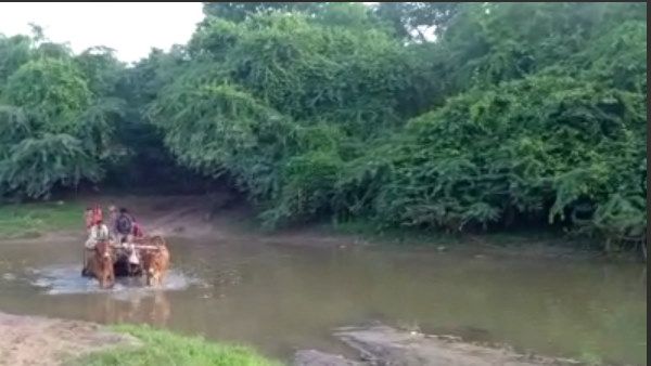 VIDEO: प्रसव पीड़ा से तड़पती महिला को यूं नदी पार करनी पड़ी, 15 साल से सरकार 1 पु​ल नहीं बनवा सकी