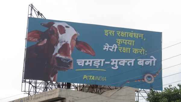 PETA India:रक्षा बंधन पर 'चमड़ा मुक्त' बनने की अपील, सोशल मीडिया ने धो डाला