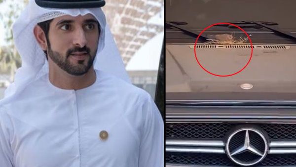 VIDEO: चिड़िया ने दिए कार पर अंडे, तो दुबई के प्रिंस ने छोड़ दी करोड़ों की मर्सिडीज