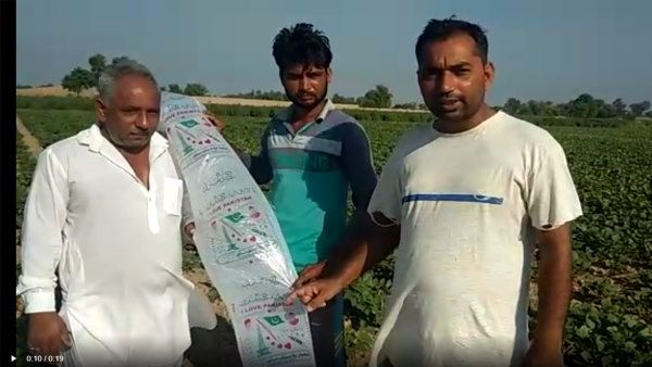 पाकिस्तानी स्वतंत्रता दिवस पर उड़ाए गुब्बारे राजस्थान में आकर गिरे, लिखा था ये मैसेज