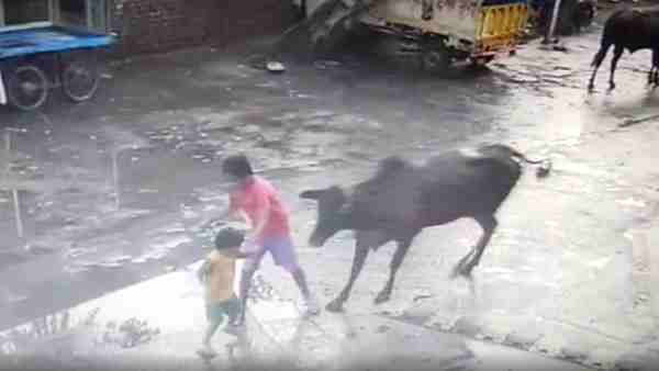 VIDEO: बीच सड़क पर गुस्सैल सांड ने बच्चे और उसके भाई पर किया हमला, देखिए कैसे बची जान
