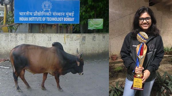 UPSC इंटरव्यू में सवाल-मुम्बई IIT में क्यों घूमती है गाय?, जानिए क्या रोचक जवाब देकर सिमी करन बनीं IAS