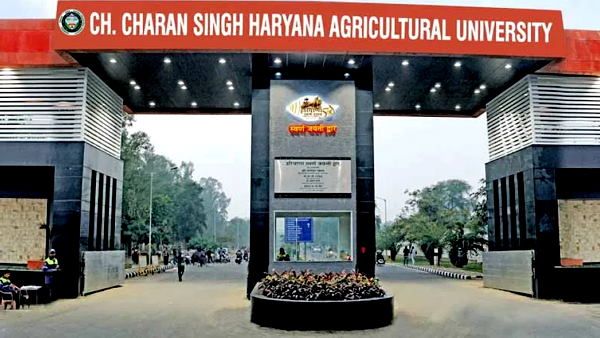 हरियाणा: चौधरी चरण सिंह कृषि विश्वविद्यालय में पोस्टग्रेजुएशन और PhD कोर्स की प्रवेश परीक्षा