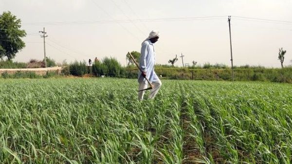 Union Budget 2021: क्या बजट में किसानों को मिलेगा तोहफा, सम्मान निधि की रकम बढ़कर 9000 रु होगी?