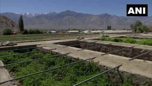 लद्दाख में माइनस 25 डिग्री तामपान में भी भारतीय सेना को ताजी सब्जियां-सुपरफूड देने की ये है तैयारी