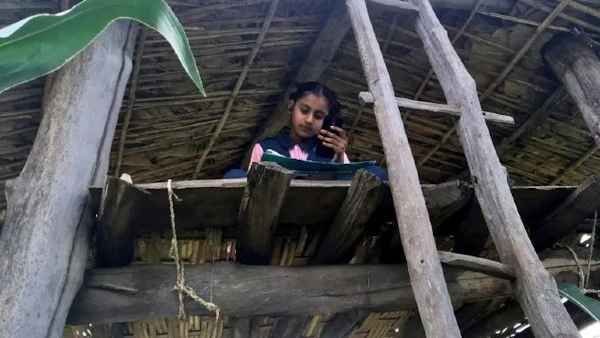 11 वर्षीय सफा जरीन के गांव में नहीं आता नेटवर्क, ऑनलाइन पढ़ाई के लिए ढूढ़ा ये जुगाड़, जीता सबका दिल