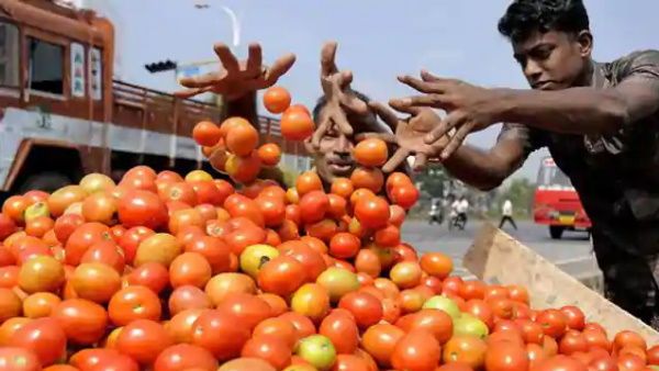 महंगाई डायन: दिल्ली में टमाटर का मूड हुआ 'लाल', एक किलो के देने पड़ रहे इतने रुपए