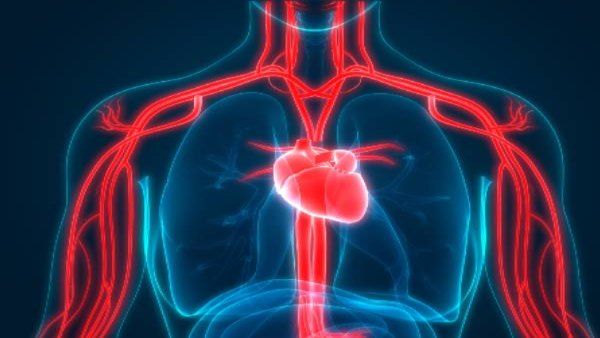 चमड़े की गेंद की तरह सख्त मिला कोरोना मरीज का फेफड़ा, ऑटोप्सी में हुआ खुलासा