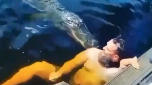 Viral Video: मगरमच्‍छों के बीच स्‍विमिंग कर रहा था शख्‍स, अचानक हुआ कुछ ऐसा कि...